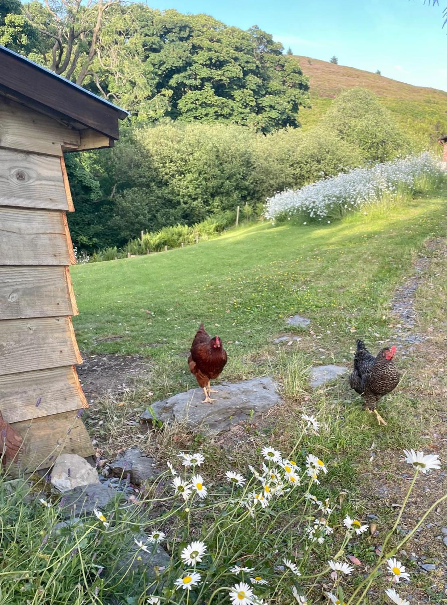 Faraway Follies Villa Llandegla Buitenkant foto
